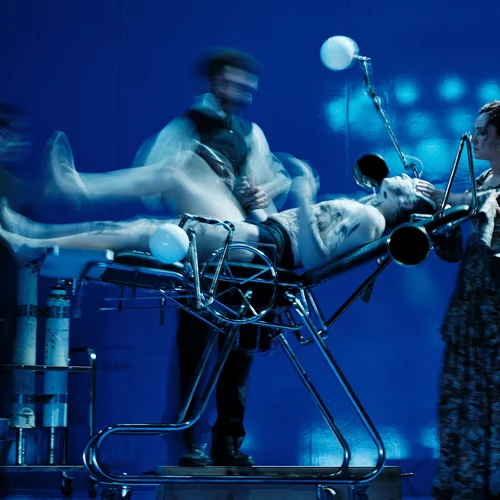 Καρδιά του σκύλου