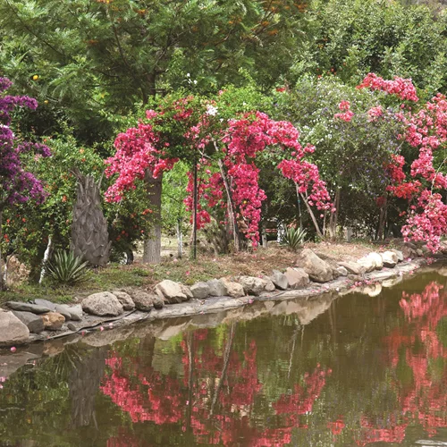 Βοτανικός Κήπος Κρήτης: Μια κιβωτός μνήμης, γνώσης και γεύσης