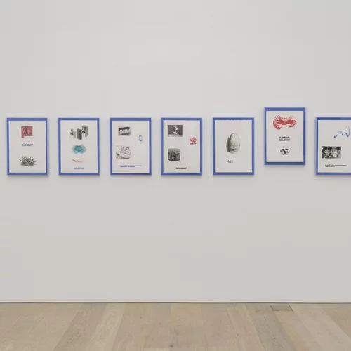 To Αμερικανικό Κολλέγιο Ελλάδος υποδέχεται την έκθεση "And all our world is dew" στo πλαίσιo του Annual Arts Festival 2024