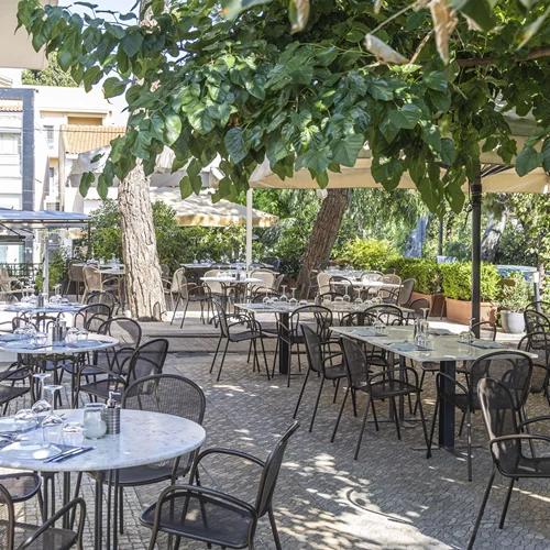 "Dal Professore Athens"