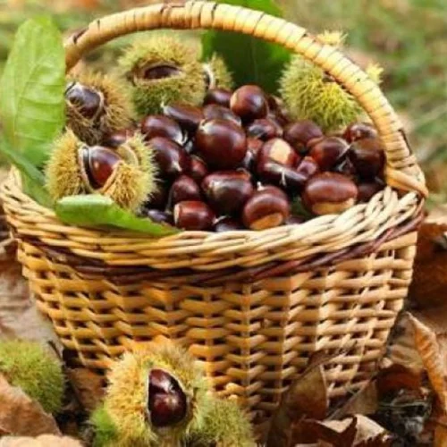 "Γιορτή του Κάστανου" για 18η χρονιά στην Άρνα του Δήμου Σπάρτης