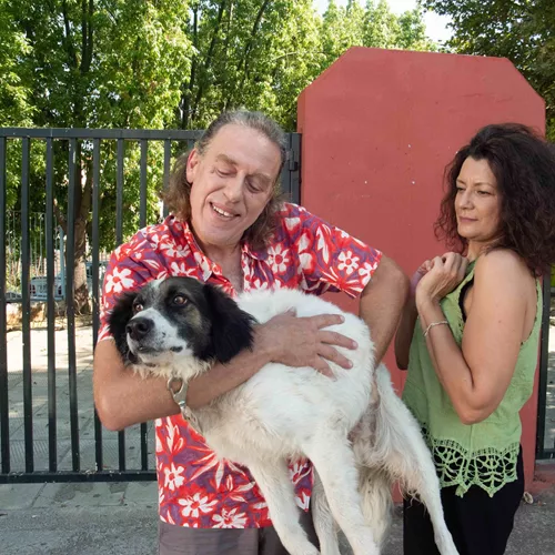 Σκυλίσια ζωή