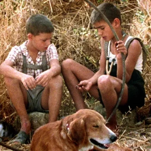 Οι καλύτερες ταινίες που παίζουν τώρα στα σινεμά (01-07/01)