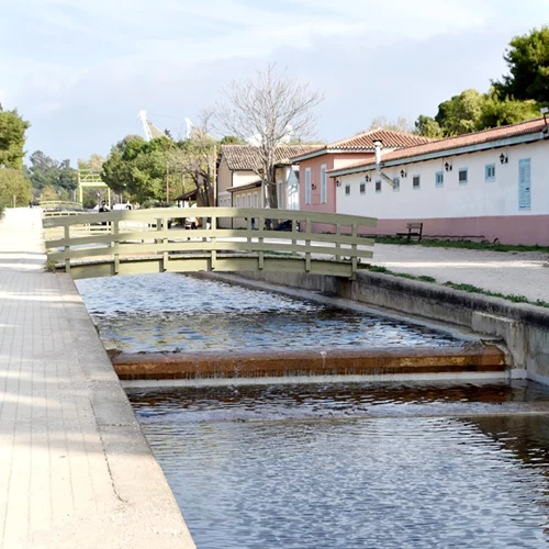 Πάσχα με την Περιφέρεια Αττικής στο Μητροπολιτικό Πάρκο "Αντώνης Τρίτσης"