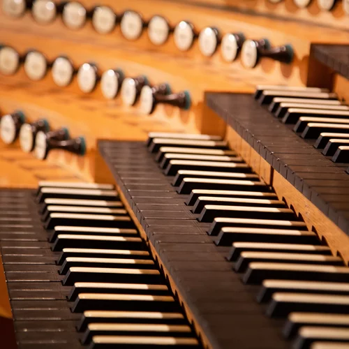 Εκπαιδευτικά προγράμματα για μικρούς και μεγάλους στο Μέγαρο Μουσικής