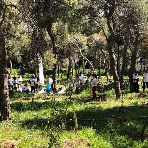 Ανάσα πρασίνου στην πόλη: Συνεχείς δενδροφυτεύσεις σε Λυκαβηττό και Στρέφη από τον Δήμο Αθηναίων