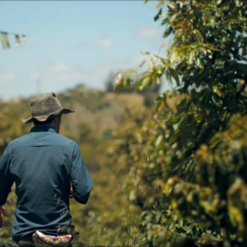 5 ντοκιμαντέρ για την κλιματική αλλαγή που αξίζουν την προσοχή μας