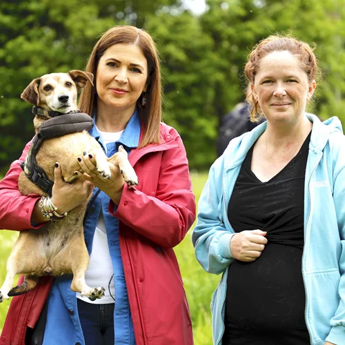 TV pick: Τα πιο όμορφα "Πλάνα" έχουν …ουρά και απέραντη, ανιδιοτελή αγάπη