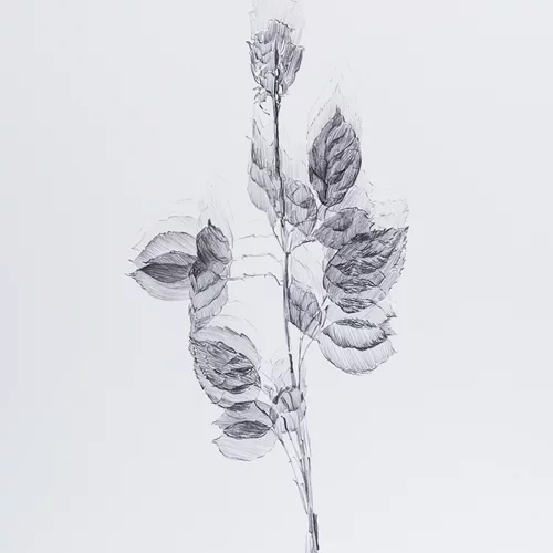 "Πνοές": Οι κρυφές λειτουργίες της ζωής και της φύσης