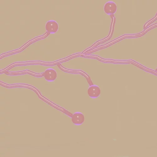 "Desire Lines": Τρεις καλλιτέχνιδες επηρεάζουν η μια την κατεύθυνση της άλλης