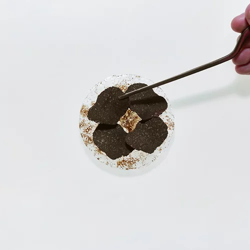 Sani Gourmet 2025: Αντίστροφη μέτρηση για τη μεγάλη γαστρονομική γιορτή