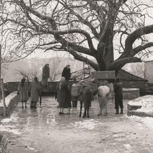 Οι ελληνικές ταινίες που πρέπει να δεις στο αφιέρωμα της Ταινιοθήκης