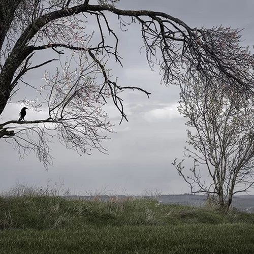 Ο Στράτος Καλαφάτης μας προσκαλεί στο νέο του φωτογραφικό ταξίδι