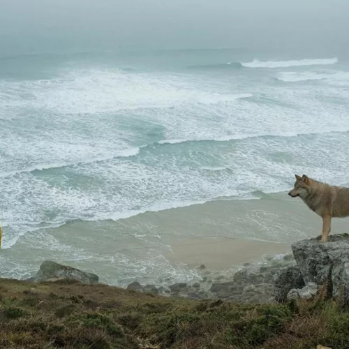 Το Βιβλίο των Θαυμάτων