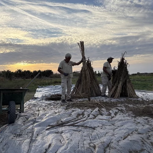 Το Grecotel LUXME Kos φιλοξένησε το 4ο Διεθνές Επιστημονικό Συνέδριο "Ιπποκρατική Παράδοση & Σύγχρονες Εφαρμογές"