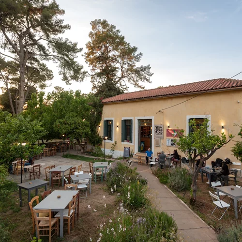 Χανιά: Στα καφενεία του Αποκόρωνα