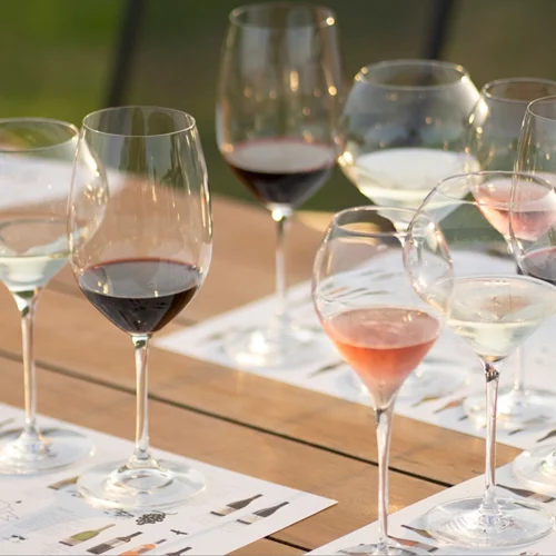 Μεγάλος διαγωνισμός από το Κτήμα ΚΥΡ-ΓΙΑΝΝΗ: Οινόφιλοι με Πιστοποίηση