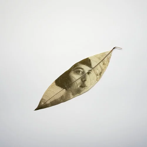 Σεμινάρια για όλα τα γούστα: Ιδέες για τα νέα ξεκινήματα του φθινοπώρου