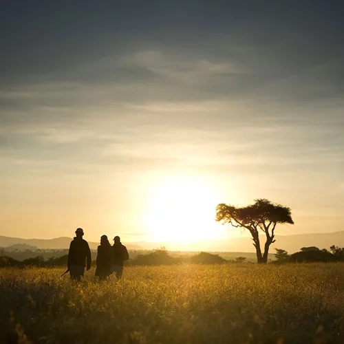 Η σεφ που μας προσκαλεί για μαγειρική στην… άγρια φύση