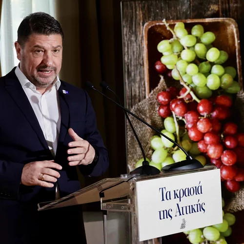 Tο σχέδιο για τη στήριξη του αττικού αμπελώνα