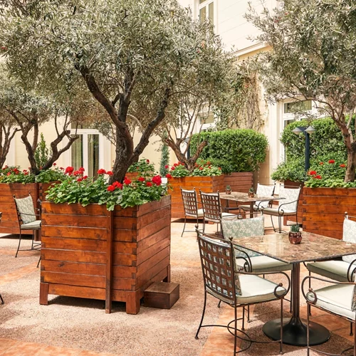 "Il Giardino Segreto" στο Atrium of Alexander’s Lounge