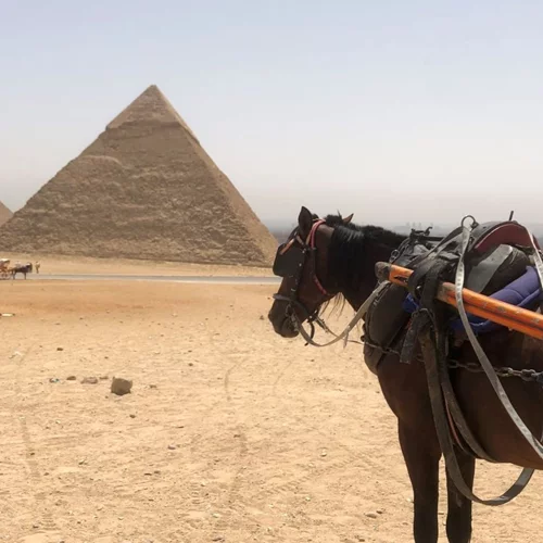 COSMOTE HISTORY HD: Νέα σεζόν με 11 καινούριες παραγωγές και συμπαραγωγές ντοκιμαντέρ