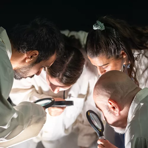 Η Τελίτσα και το Σύμπαν