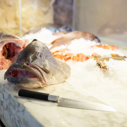 "Labros": Η αθηναϊκή Ριβιέρα έχει το δικό της σημείο αναφοράς στο ψάρι