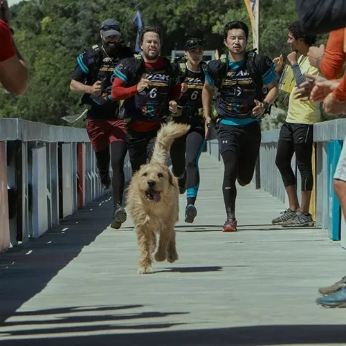 Άρθουρ ο Βασιλιάς