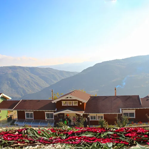 Νοόσφαιρα wellness & retreat center