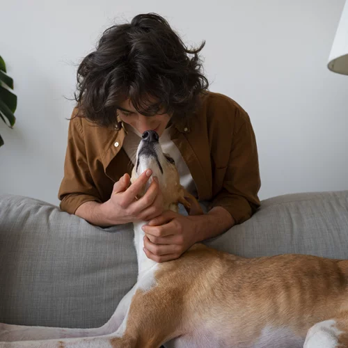 Στομαχικές ενοχλήσεις & εμετοί στο σκύλο σου; Μερικοί λόγοι που μπορεί να ευθύνεται το φαγητό του & μια "έξυπνη" λύση