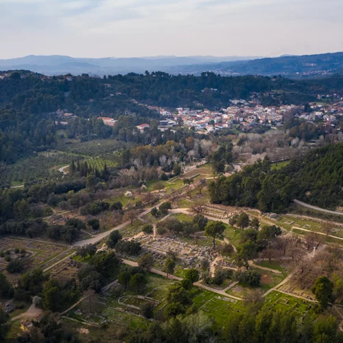 Η Αρχαία Ολυμπία ξαναζωντανεύει με τη δεντροφύτευση 80.000 ελαιόδεντρων