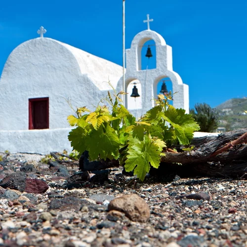 Αν δεν ήξερες για το Μαυράθηρο ήρθε η ώρα &  στο συστήνει η Canava Roussos