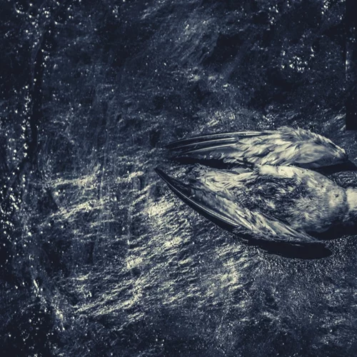 Όλα όσα θα δούμε στο 1927 art space