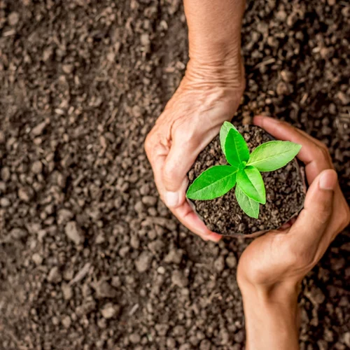 "Αμάλθεια": Ανακαλύπτοντας τη χαρά της παράδοσης, τη γονιμότητα της γης και τη δύναμη της κοινότητας