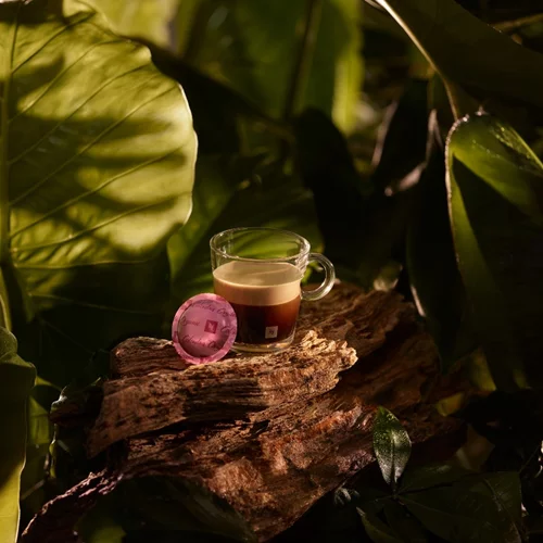 Ο Nespresso Colombia Organic συνεχίζει το γευστικό μας ταξίδι στη βιωσιμότητα