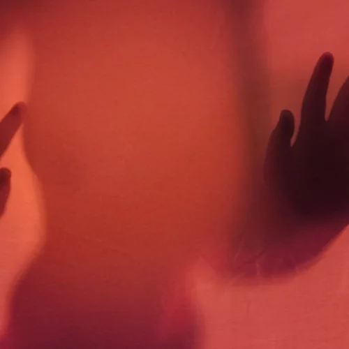 "Entopic Diaries": Η ευθραυστότητα ανάμεσα στην προσωπική και τη συλλογική μνήμη