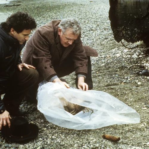 Ο αινιγματικός κόσμος του "Twin Peaks" στην COSMOTE TV