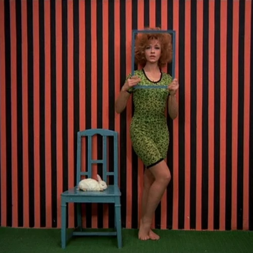 Τα Μυστήρια του Οργανισμού