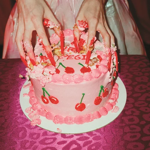 15 κεράκια για τη Στέγη