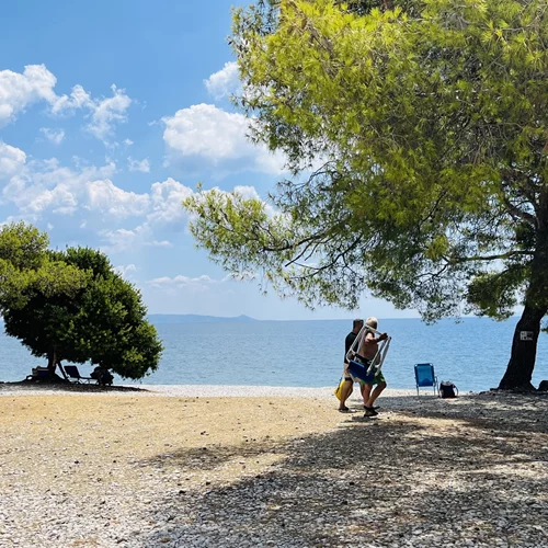 Ecoculture Festival: Η Ελευσίνα σε προσκαλεί σε ένα βιωματικό τετραήμερο αφιερωμένο στο περιβάλλον και τη βιωσιμότητα