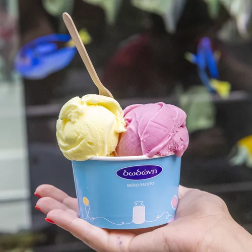 Όλη η γεύση του καλοκαιριού σ’ ένα κυπελλάκι Δωδώνη