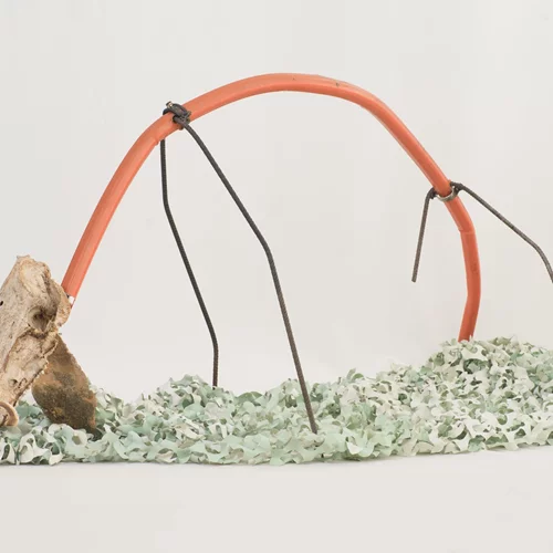 "Forage": Ο εικαστικός Οδυσσέας Γλύκας γίνεται ένας σύγχρονος "τροφοσυλλέκτης"