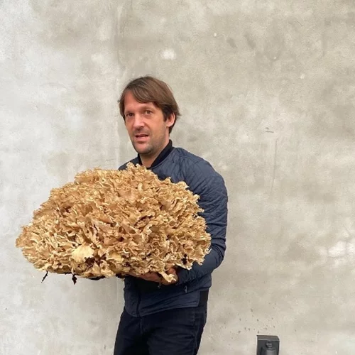 Το "Noma" ετοιμάζει pop up στο Κιότο