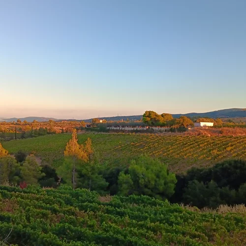 Τα Μέγαρα αλλάζουν και μας καλούν να τα ανακαλύψουμε