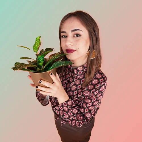 Mellowsophy Music: Μια διήμερη μουσική εμπειρία της ελληνικής ανεξάρτητης σκηνής στο "Gazarte"