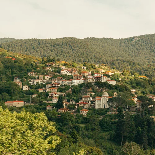 Όλα όσα θα δούμε στο Vamvakou Experience Festival 2023