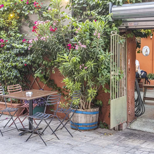 Του Βοτανικού ο "Θεσσαλός", το καλύτερο παιδί