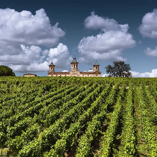 Τι γυρεύουν οι παγόδες ανάμεσα στους γαλλικούς αμπελώνες;