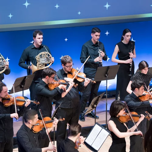 H Ελληνογερμανική ορχήστρα νέων ψάχνει μουσικούς